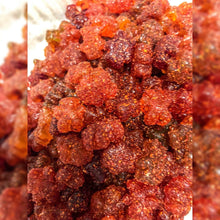 Load image into Gallery viewer, Gummy Bears Enchilados